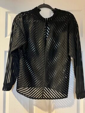 Black Sheer Striped Long-Sleeve Women's Top